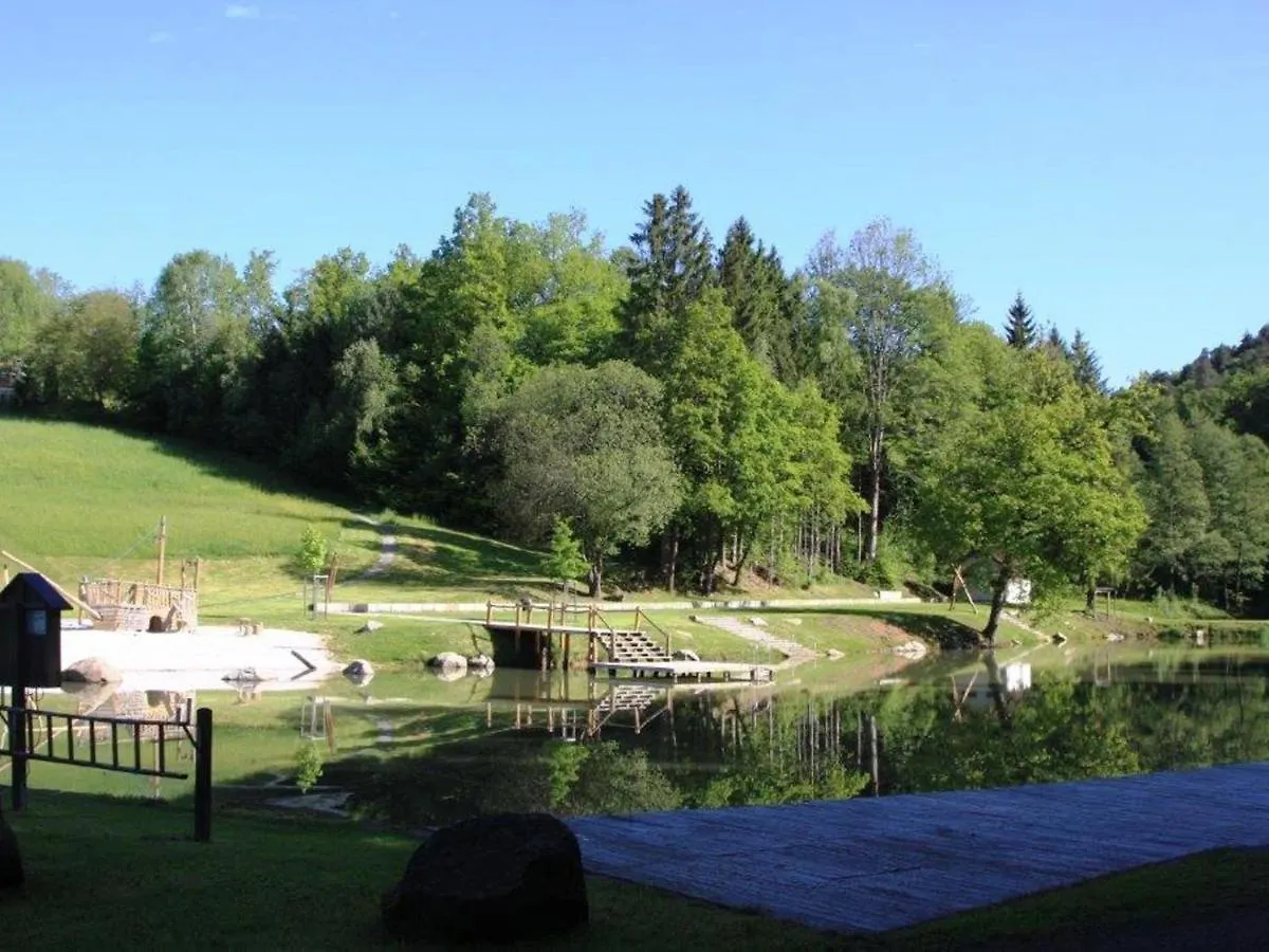 Holiday Home In Saldenburg With Sauna 0*,